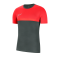 Nike Academy Pro Shirt kurzarm Kids F064 - grau