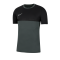 Nike Academy Pro Shirt kurzarm Kids F069 - grau