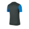 Nike Academy Pro T-Shirt Grau Blau F075 - grau
