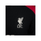 Nike FC Liverpool Auth. Trainingsshirt Schwarz F013 - grau