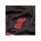 Nike FC Liverpool X LeBron James Trikot Kids F061 - grau