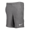 Nike Park 20 Fleece Short Kids Grau Weiss F071 - grau