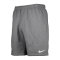 Nike Park 20 Fleece Short Grau Weiss F071 - grau