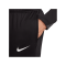 Nike Strike Trainingshose Schwarz F010 - grau