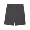 PUMA AC Mailand Short 3rd 2024/2025 Kids Grau F03 - grau