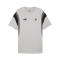 PUMA Borussia Mönchengladbach Ftbl Archive T-Shirt Grau F02 - grau