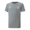 PUMA NJR Evostripe T-Shirt Kids Grau F05 - grau