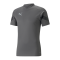PUMA teamFINAL Trainingsshirt kurzarm Grau F13 - grau