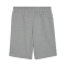PUMA teamGOAL Casuals Shorts Grau F33 - grau