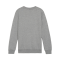 PUMA teamGOAL Casuals Sweatshirt Kids Grau F33 - grau