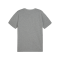 PUMA teamGOAL Casuals T-Shirt Grau F33 - grau