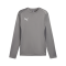 PUMA teamGOAL Training Sweatshirt Grau F13 - grau