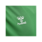 Hummel hmlCORE XK Poly T-Shirt Grün F6235 - gruen