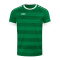 JAKO Celtic Melange KA Trikot Grün F200 - gruen