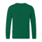JAKO Doubletex Sweatshirt Grün F260 - gruen