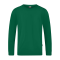 JAKO Doubletex Sweatshirt Grün F260 - gruen