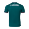 Mizuno FC Augsburg Trikot Away 2024/2025 Grün F30 - gruen