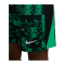 Nike Academy Pro Short Grün F324 - gruen