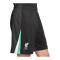 Nike FC Liverpool Short Away 2024/2025 Grün F321 - gruen