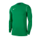 Nike Park 20 Sweatshirt Kids Grün F302 - gruen