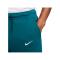 Nike Portugal Tech Fleece Jogginghose EM 2024 Grün F381 - gruen