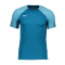 Nike Strike Trainingsshirt Grün F301 - gruen