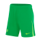 Nike VfL Wolfsburg Short Home Away 2024/2025 Grün Weiss Grün F310 - gruen