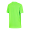 Nike VfL Wolfsburg Trikot Home Kids 2024/2025 Grün F398 - gruen