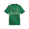 PUMA Borussia Mönchengladbach Trikot Away mit Sponsor 2024/2025 Grün F07 - gruen