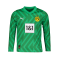 PUMA BVB Dortmund langarm TW-Trikot 2023/2024 Kids Grün F95 - gruen