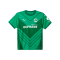 PUMA Greuther Fürth Trikot Away 2024/2025 Grün F02 - gruen