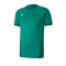 PUMA teamGOAL 23 Trikot kurzarm Grün F05 - Gruen