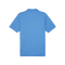 PUMA teamGOAL Poloshirt Blau F02 - hellblau
