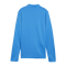 PUMA teamGOAL Training 1/4 Zip Sweatshirt D F02 - hellblau