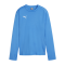 PUMA teamGOAL Training Sweatshirt Damen Blau F01 - hellblau