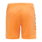 Hummel Core GK Torwarttrikotset Kids Orange F5006 - orange