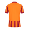 Nike Galatasaray Istanbul Trikot 3rd 2023/2024 Orange F836 - orange