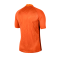 Nike Gardien III Torwarttrikot kurzarm Orange F803 - orange