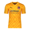 PUMA 1. FC Heidenheim TW-Trikot 2024/2025 Kids Orange F61 - orange