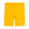PUMA LIGA Baselayer Short Orange F79 - orange