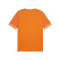 PUMA teamGOAL Matchday Trikot Orange Weiss F08 - orange