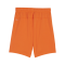 PUMA teamGOAL Short Kids Orange Weiss F08 - orange