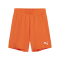 PUMA teamGOAL Short Kids Orange Weiss F08 - orange