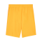 PUMA teamGOAL Short Orange Schwarz F61 - orange