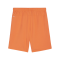 PUMA teamGOAL Short Orange Weiss F08 - orange