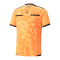 PUMA teamLIGA Schiedsrichter Trikot Orange F21 - orange