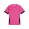 PUMA teamGOAL Matchday Trikot Kids Pink Schwarz F27 - pink