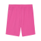 PUMA teamGOAL Short Pink Schwarz F25 - pink