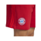 adidas FC Bayern München DNA Short Rot - rot