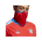 adidas FC Bayern München Pro Sweatshirt Rot - rot